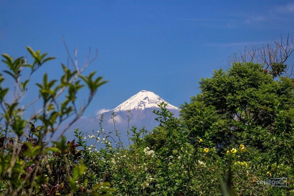 Loma Fortin de las Flores