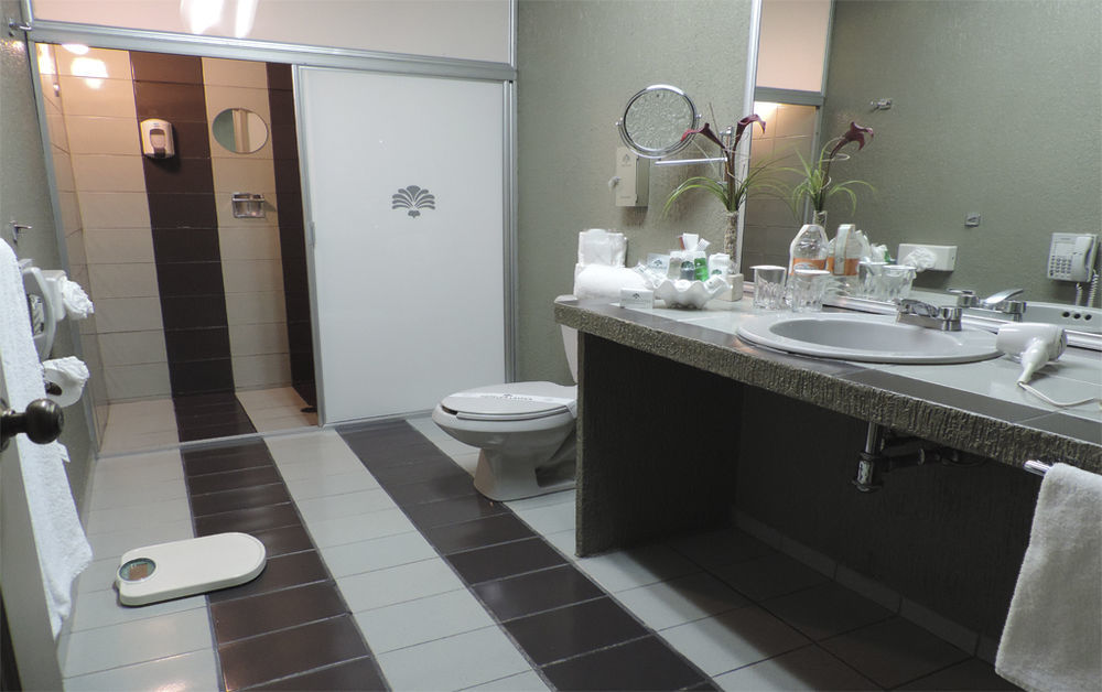 Hotel Layfer Del Centro, Cordoba,