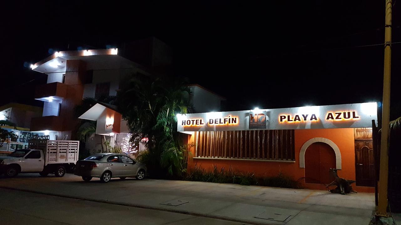 Delfin Playa Azul