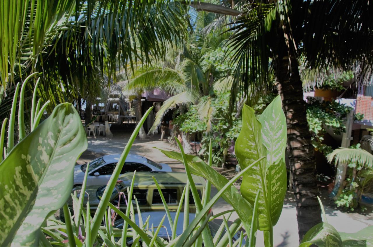 Lolas Lino Hotel Zipolite