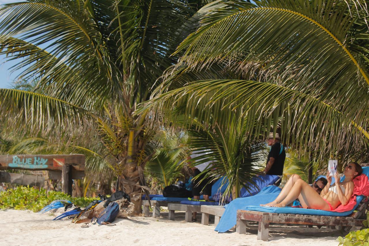 Hotel Eco Bluekay 3*