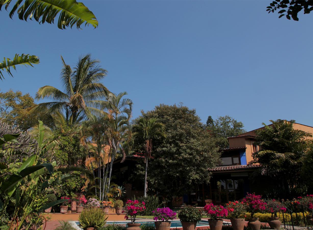 Orchidelirium Casa Hotel & Salud Estetica Hotel