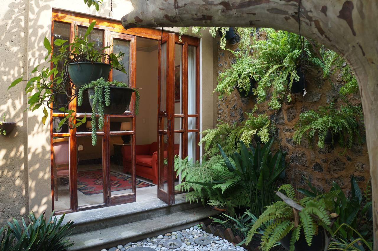 Hotel Orchidelirium Casa Hotel & Salud Estetica