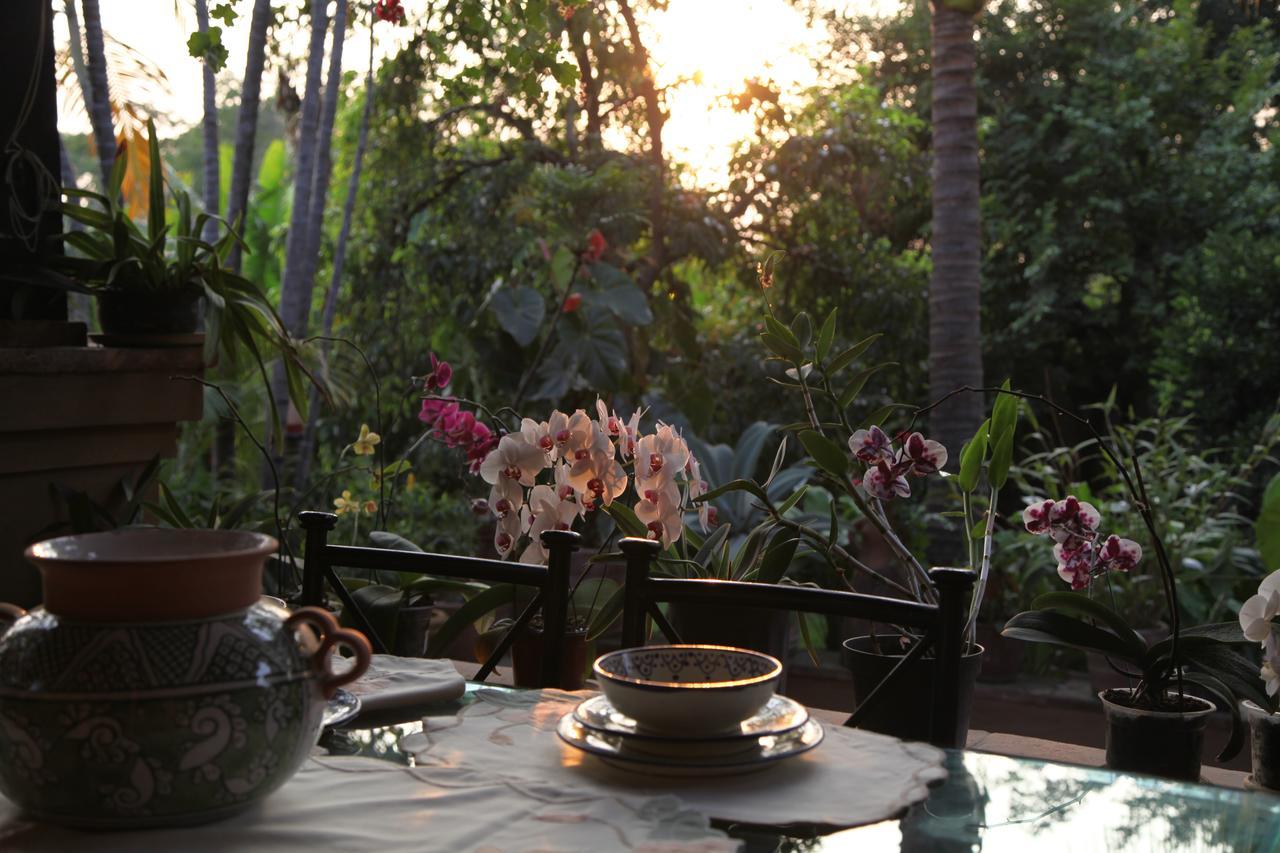 Orchidelirium Casa Hotel & Salud Estetica Hotel 4*