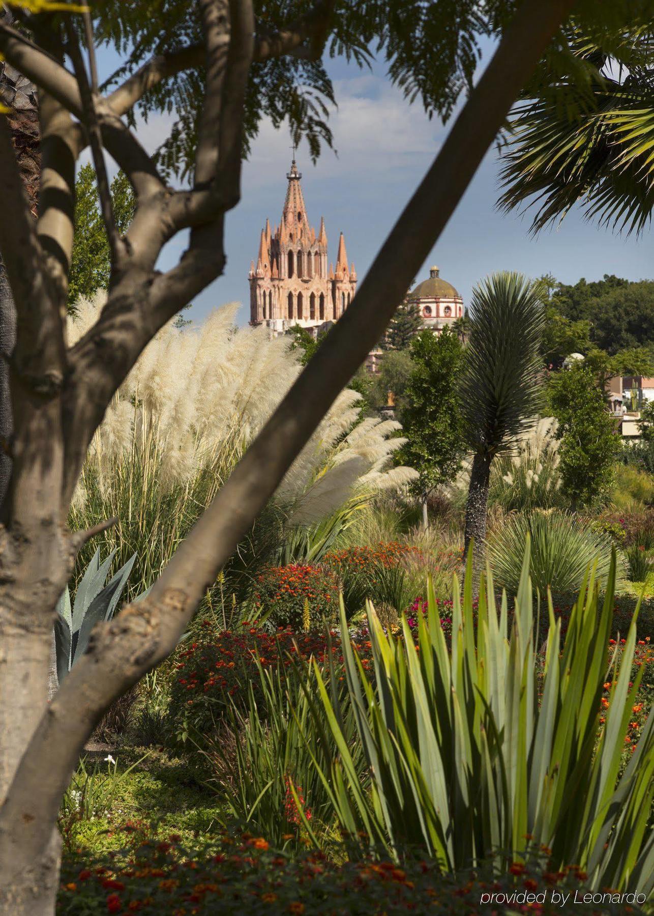 Rosewood San Miguel 5*