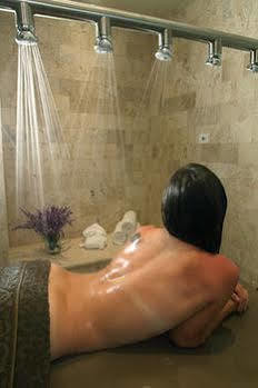 Rosewood San Miguel Hotel 5*