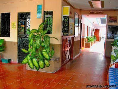 Star Hotel 3*