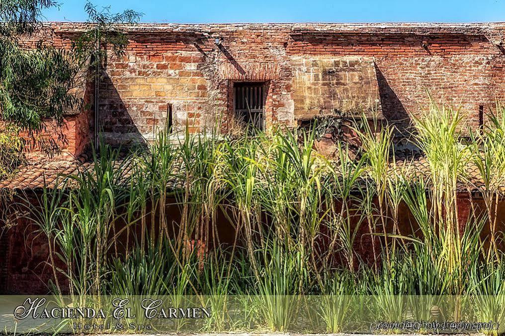 Hacienda El Carmen & 3* Teuchitlan