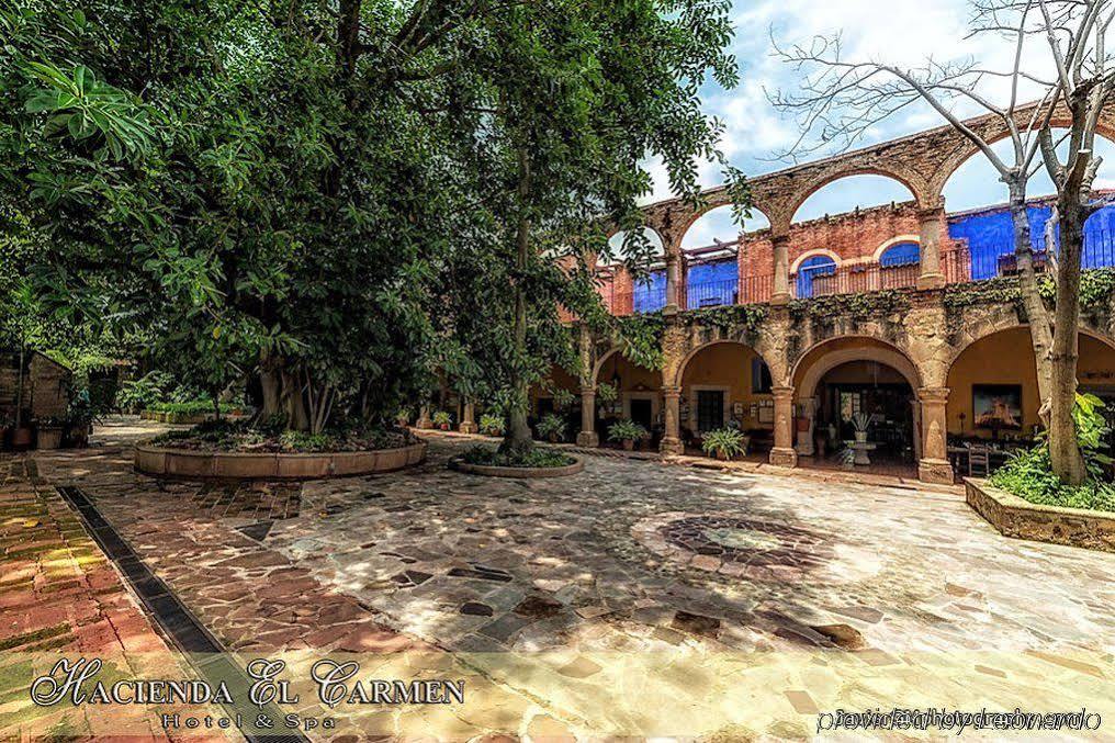 Hacienda El Carmen & 3*