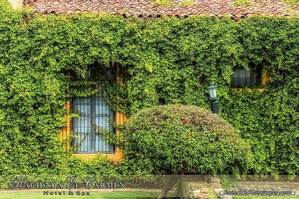 Hacienda El Carmen & 3*