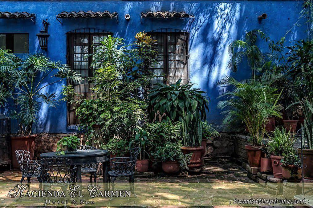 Hacienda El Carmen & Hotel