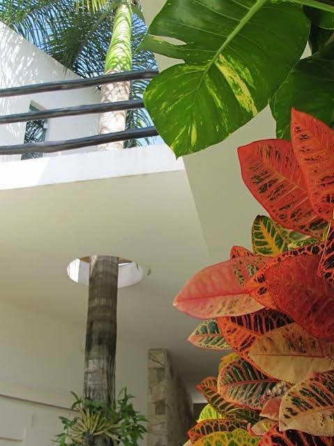 Casa Di Luca Apartment Playa del Carmen