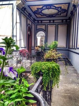 Hostel Leonora *