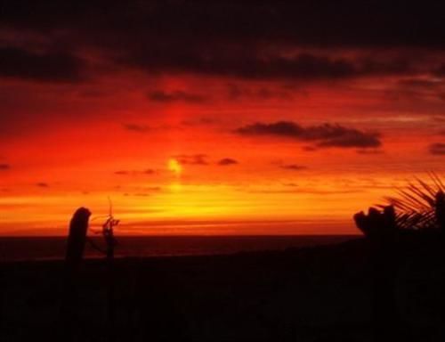 Resort Eco Palapa A Gated On Punta Los Mangles 3*