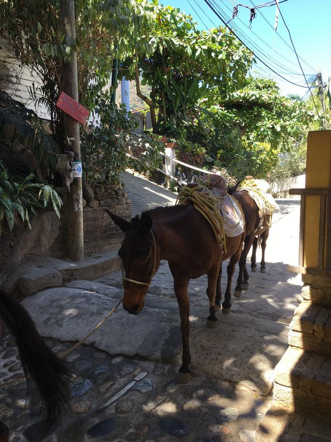 Casa Berita Yelapa