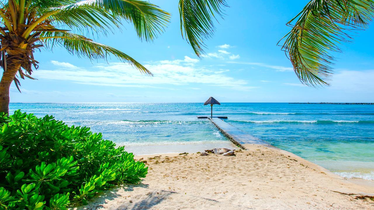 Quinta Maya | 1Br | Studio| Puerto Aventuras Apartment Puerto Aventuras