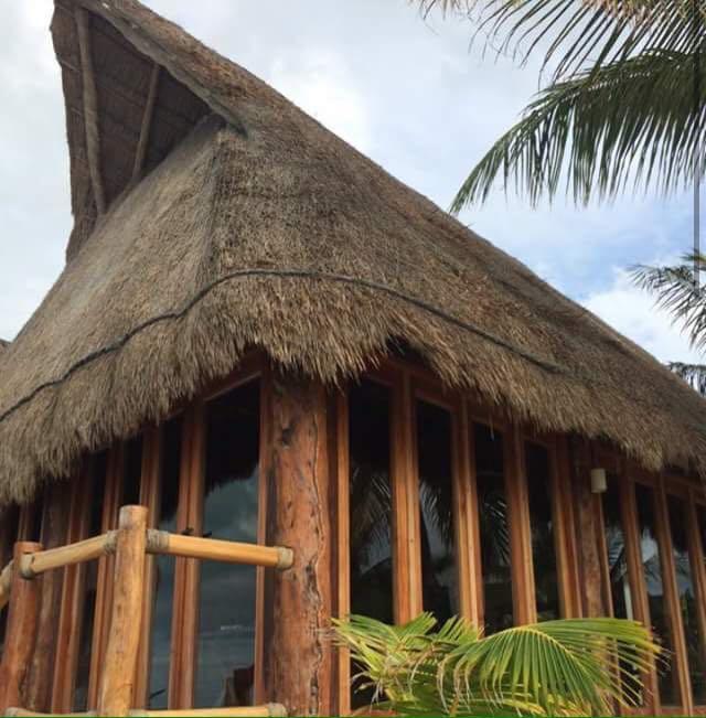 Rhincodon Typus Hotel