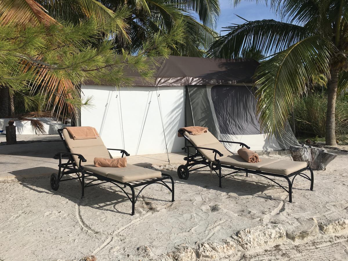 Rhincodon Typus Hotel Isla Holbox