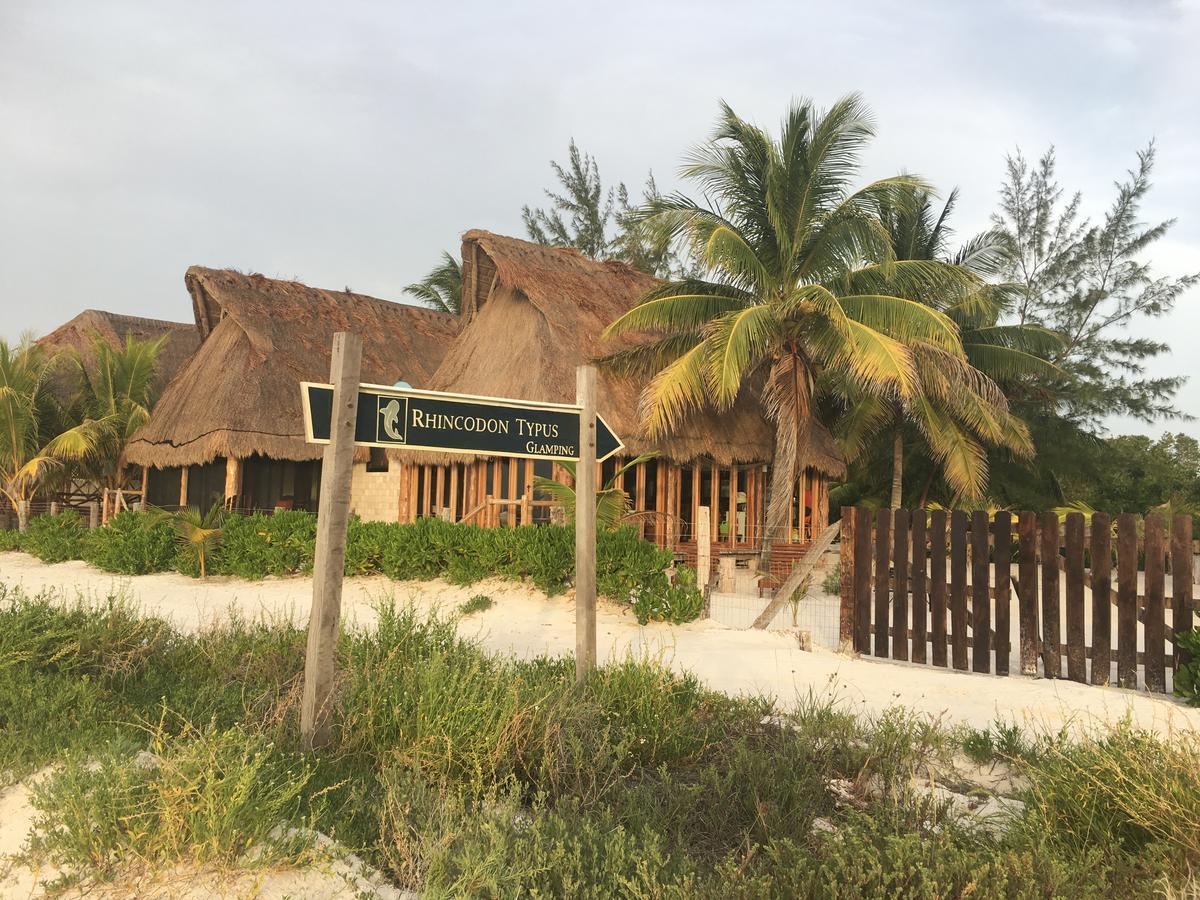 Hotel Rhincodon Typus