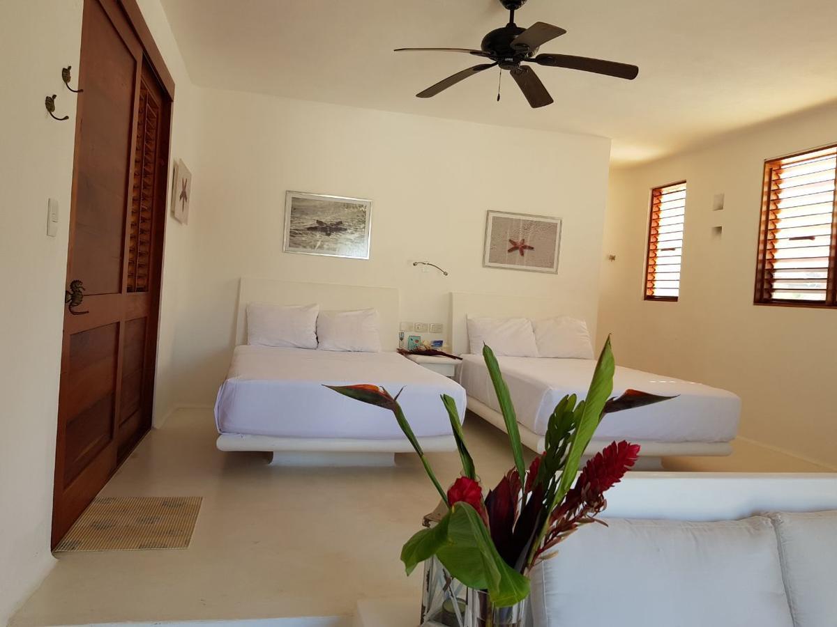 Ventana Al Paraiso Beach Front Adults Only 3* Isla Holbox