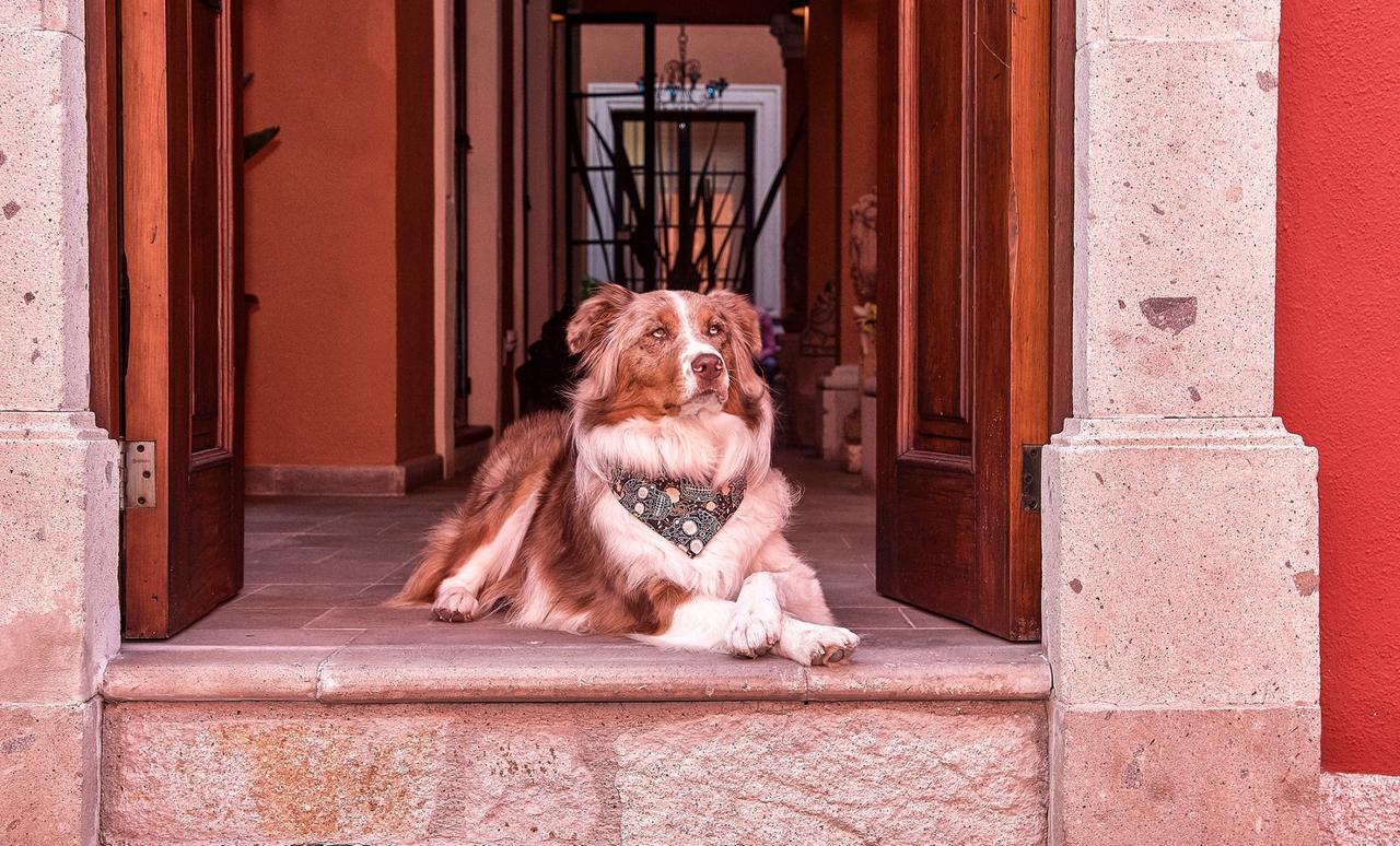Bed & Breakfast Artesana Luxury San Miguel de Allende