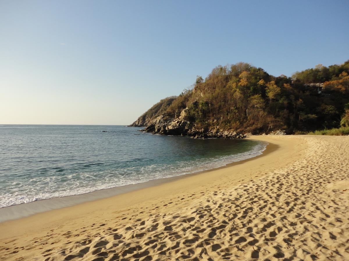 Hotel Casa Luna Playa 4*