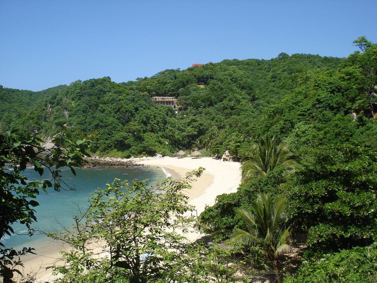 Casa Luna Playa 4*