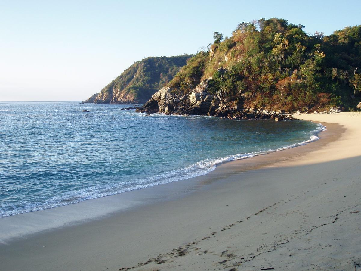Hotel Casa Luna Playa