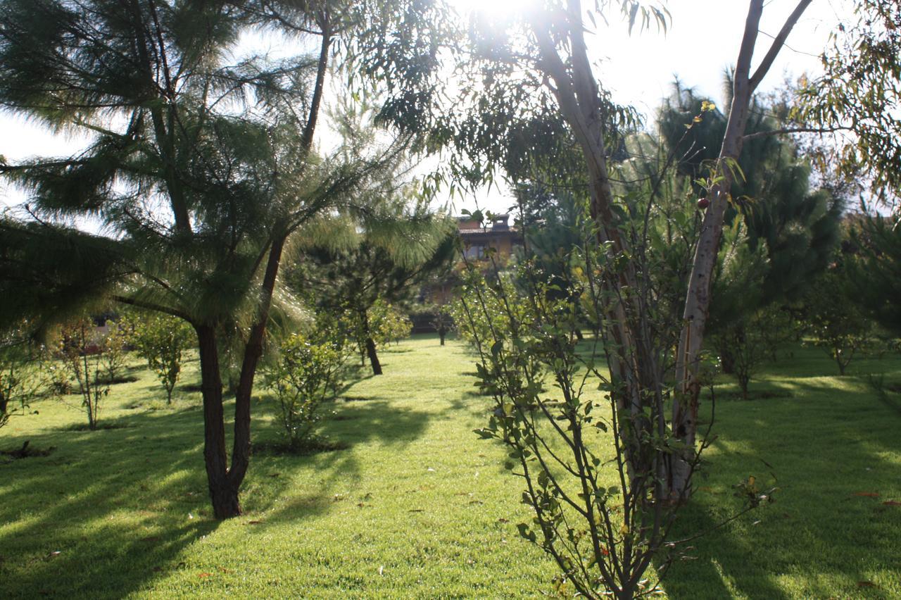 Huerta Real Hotel