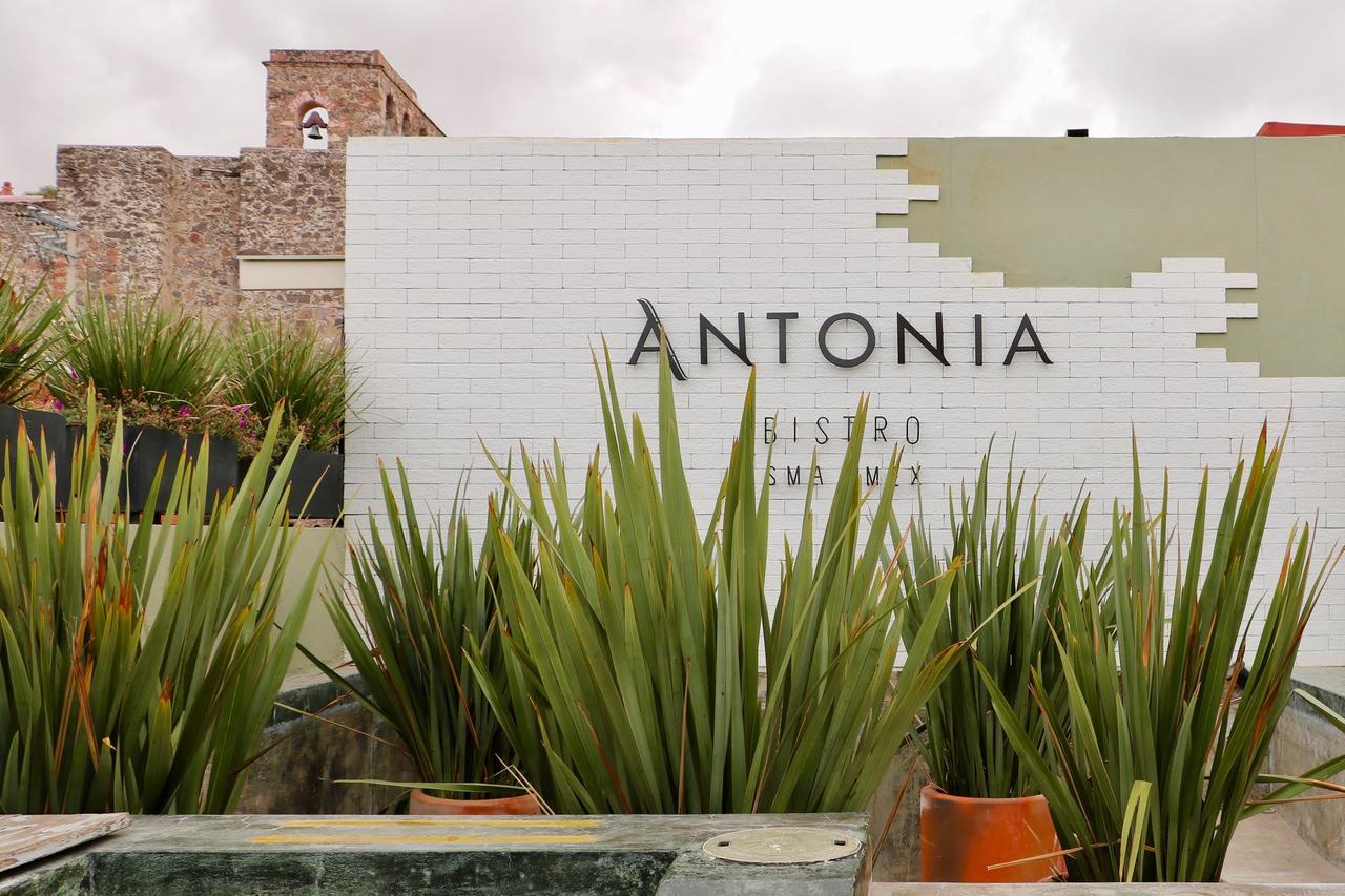 Hotel Boutique El Palomar 4*