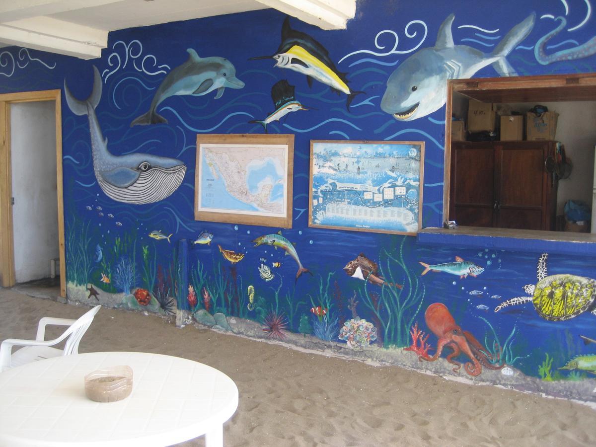 Posada Brisa Marina Hostel Zipolite