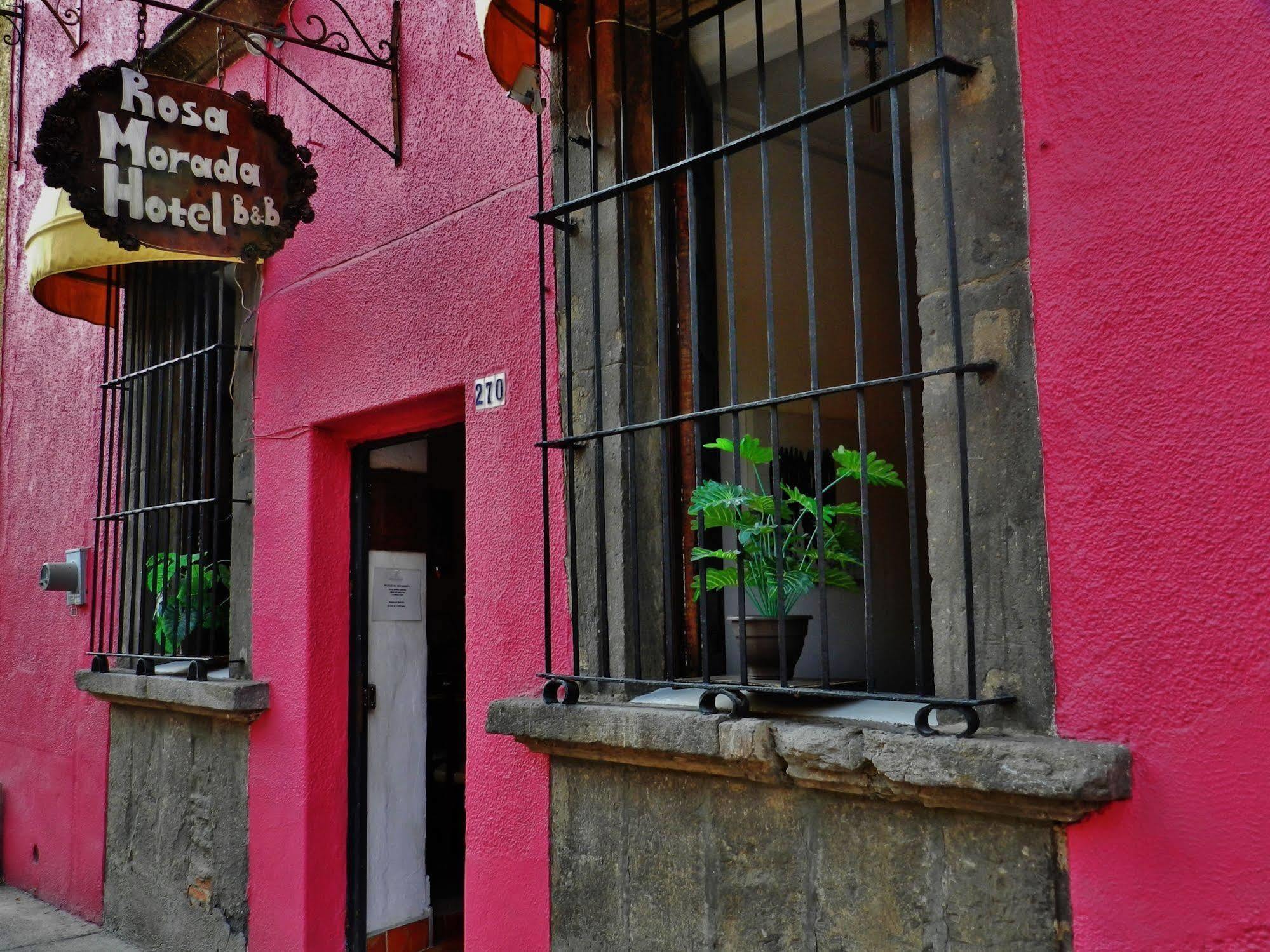Rosa Morada 4*