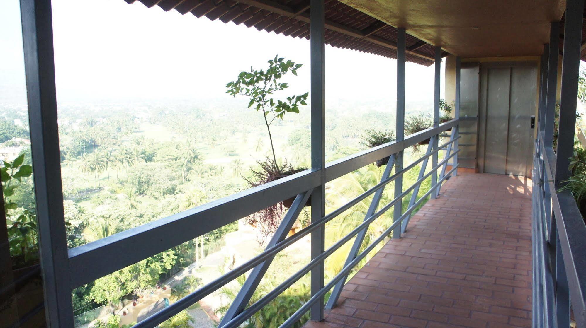 Plaza Tucanes