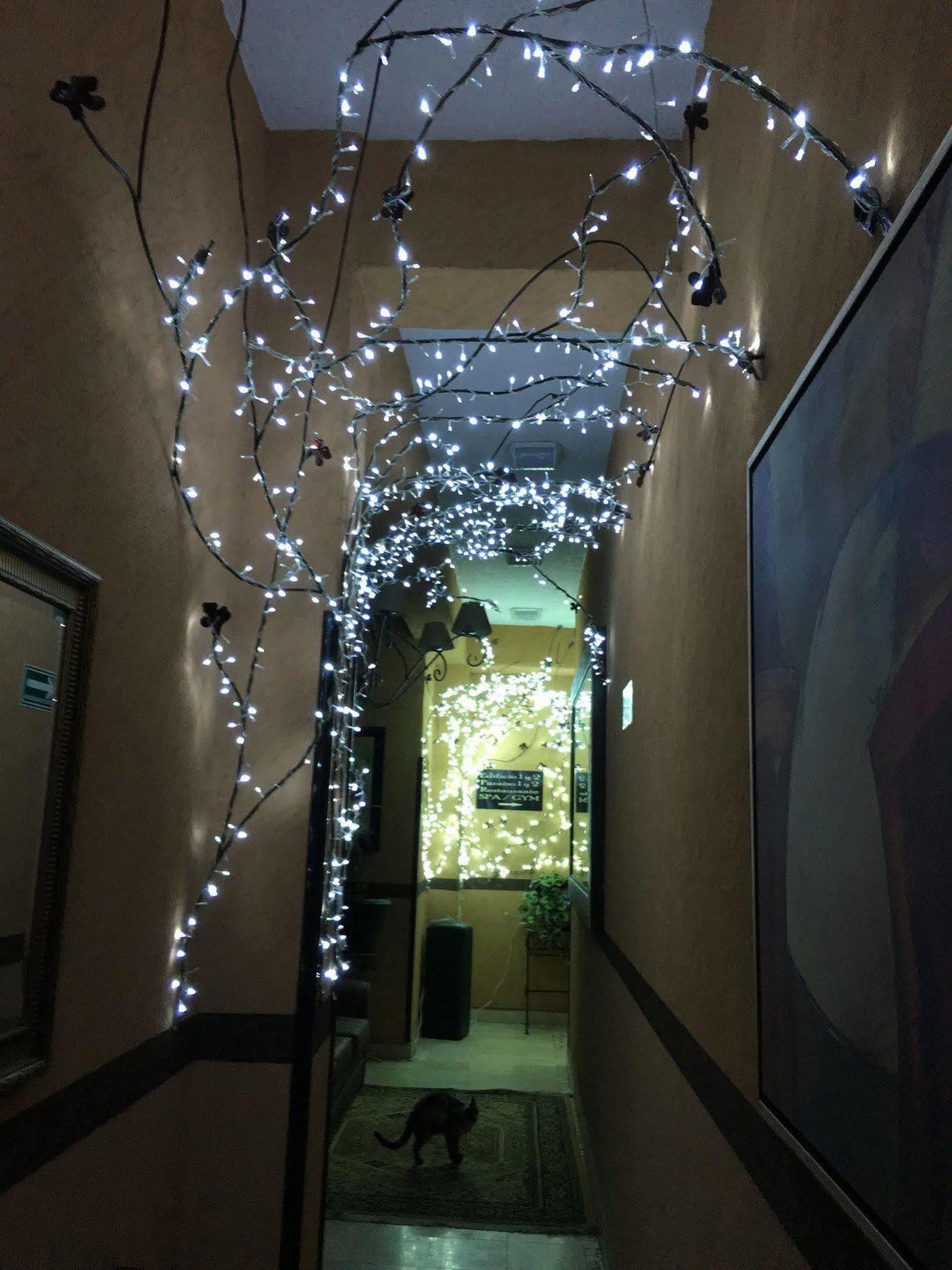 Hotel Y Paraiso Del Sur