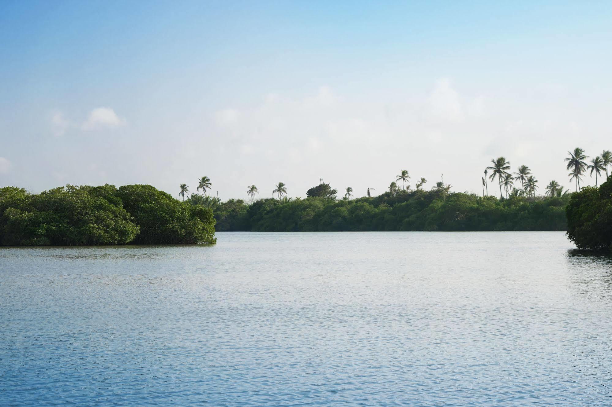 Isla Tajin 5*
