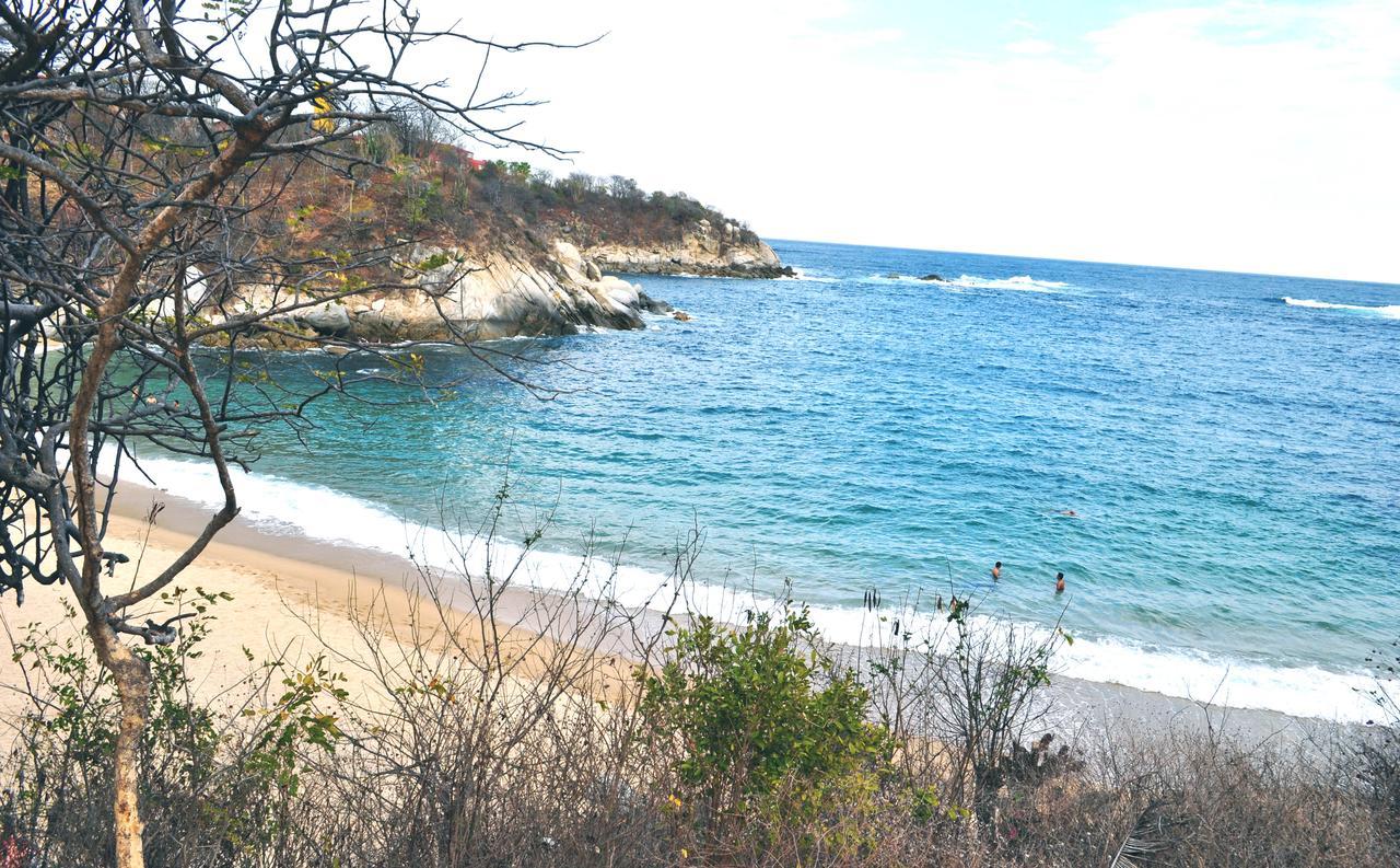 Punta Gaviota Ocean View *