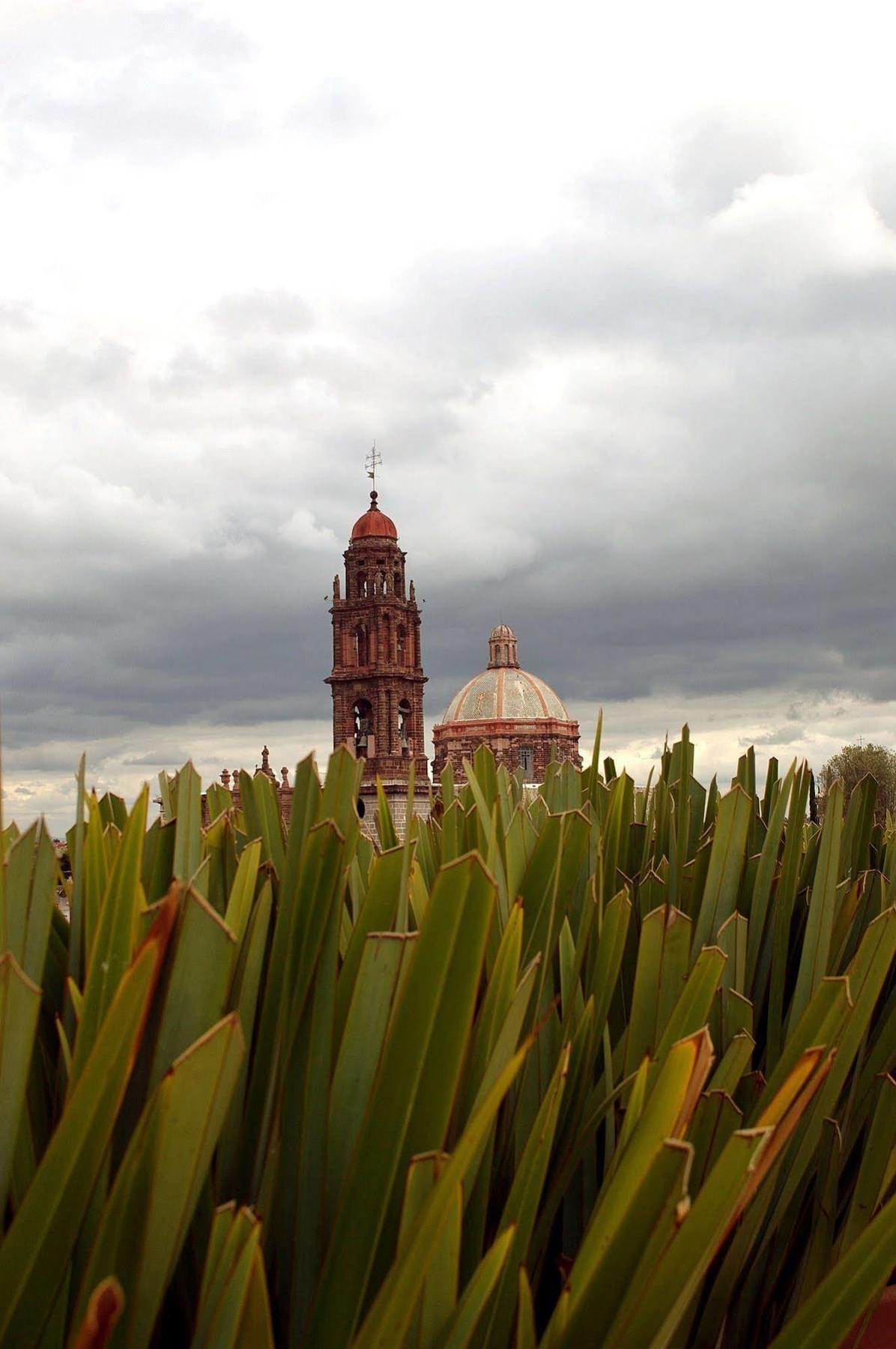 Casa De Olivos San Miguel de Allende