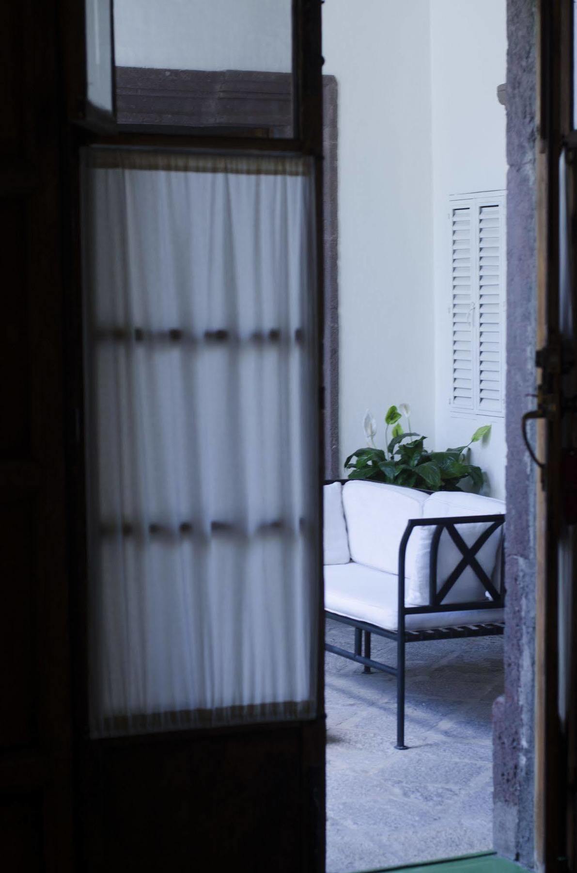 Casa De Olivos San Miguel de Allende