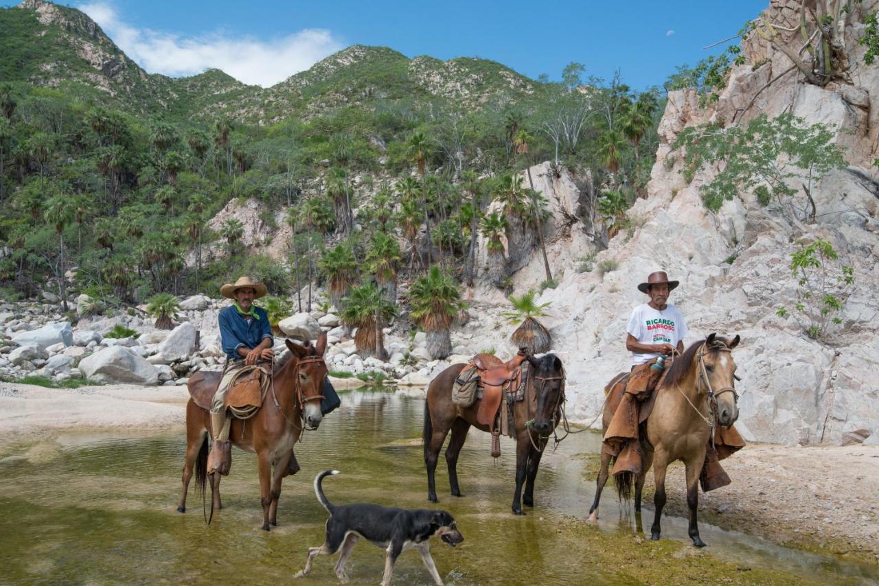 Rancho Cruces 5* Las Cruces