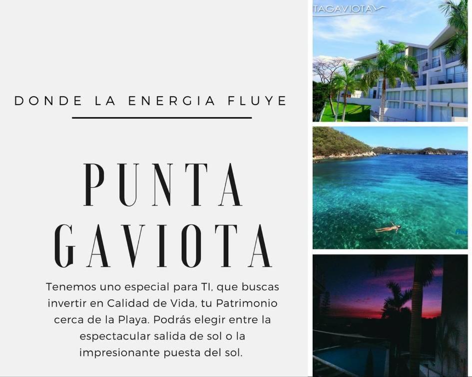 Punta Gaviota