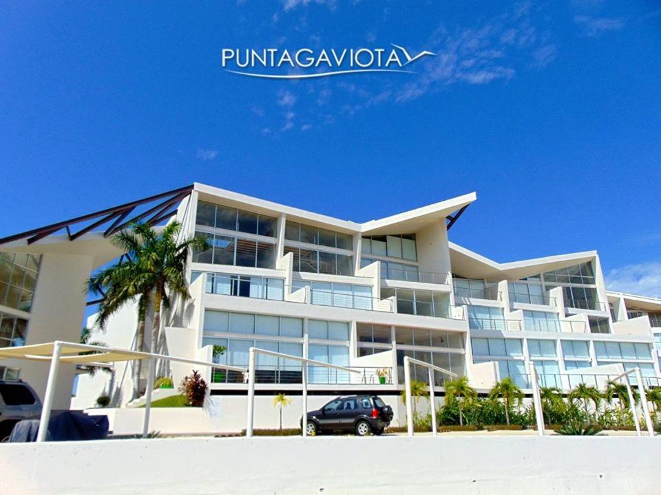 Punta Gaviota *