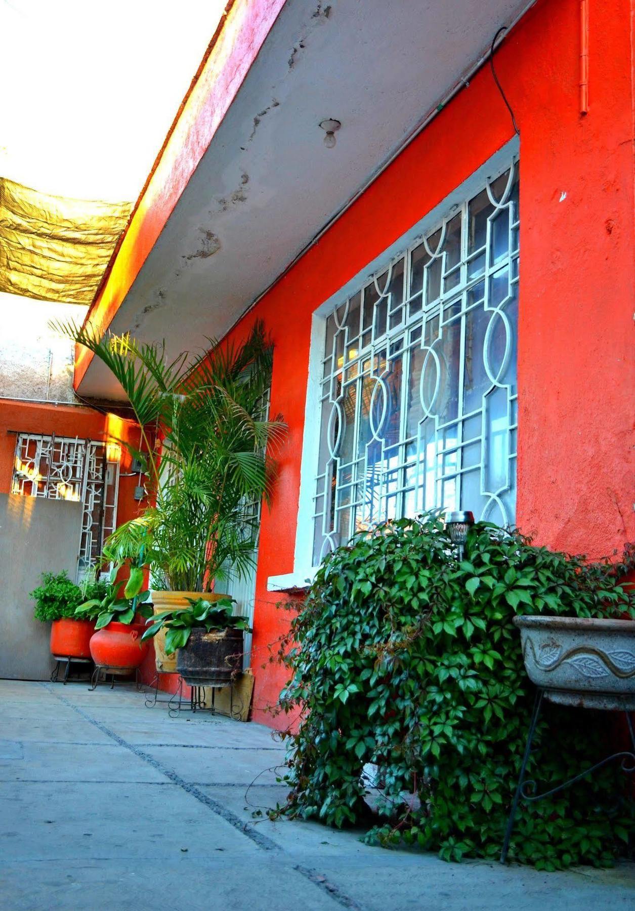 Maple Hostel