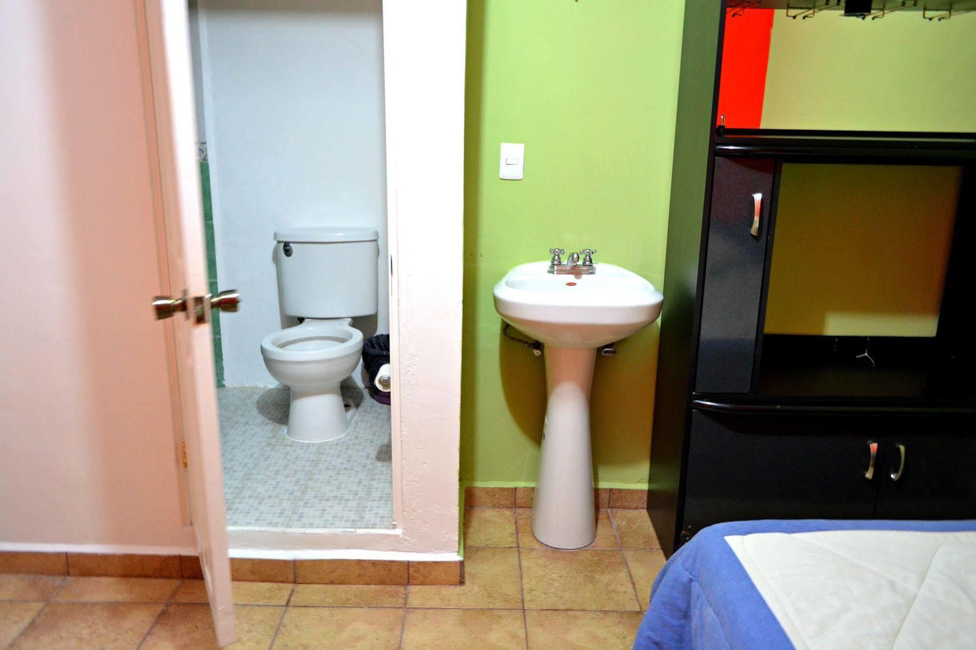 Hostel Maple