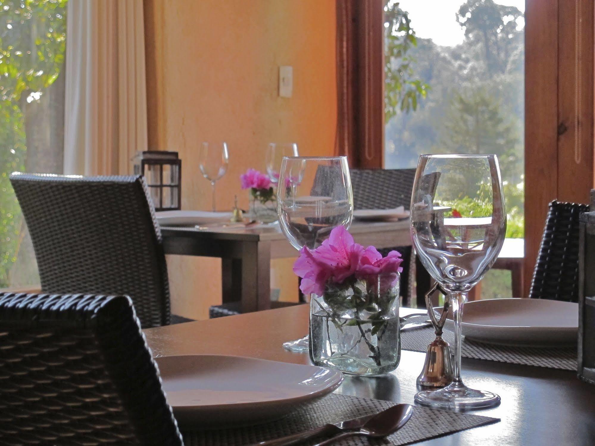 Luciernagas (adults Only) 3*