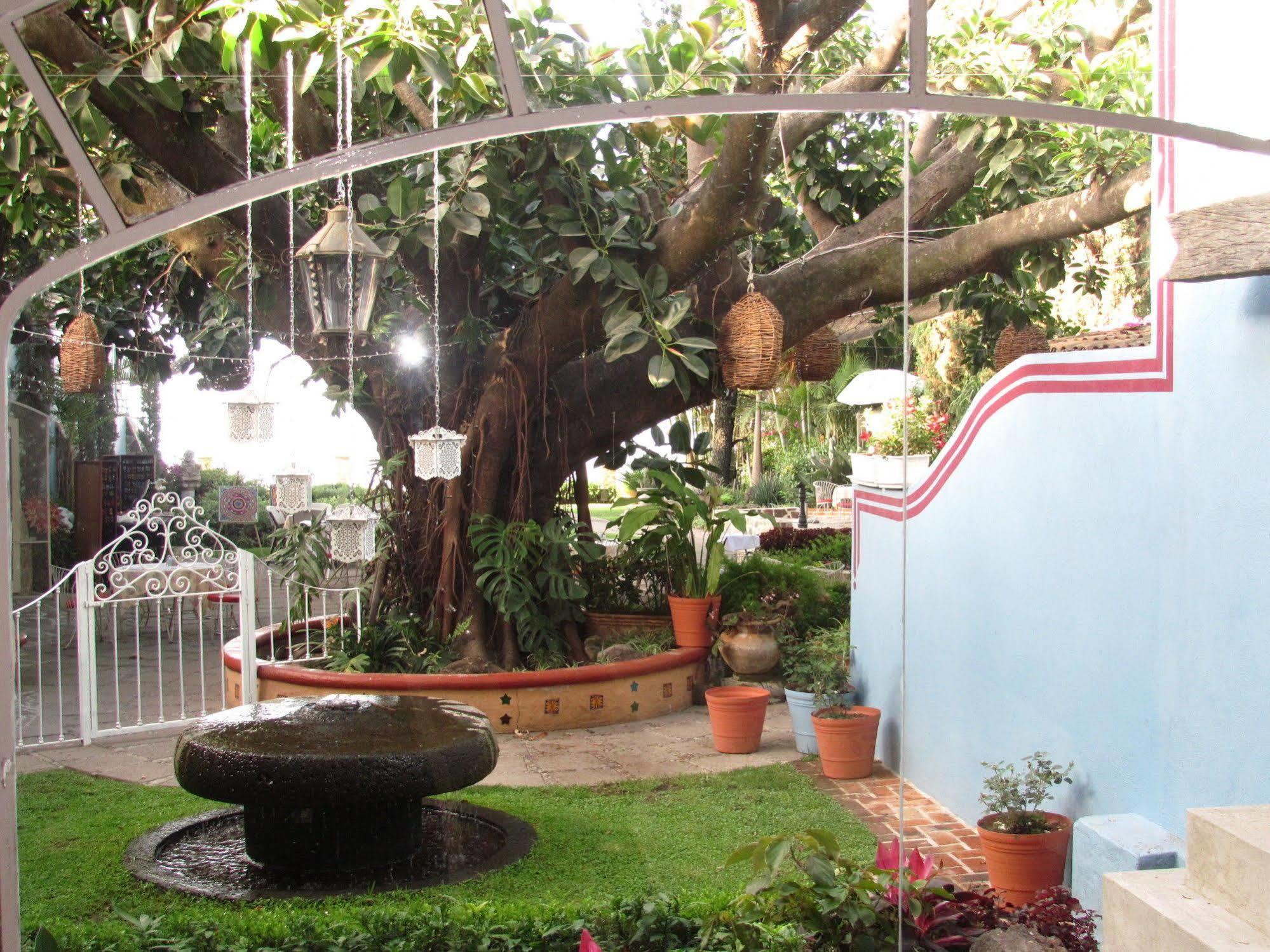 Hotel La Nueva 3*