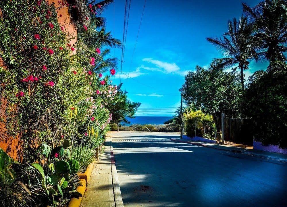 Hotel Palapas San Jose del Cabo