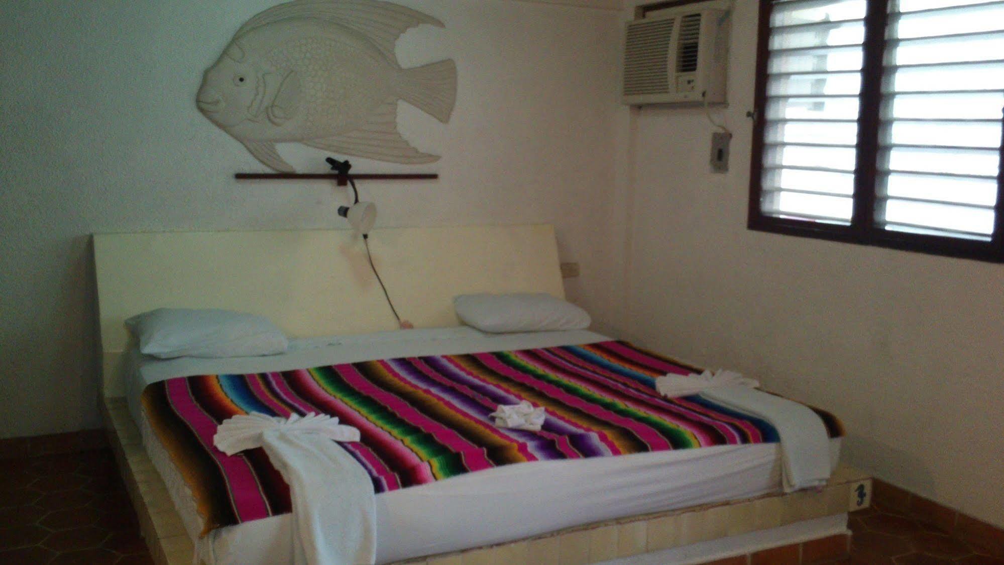 Safari 2* Cozumel