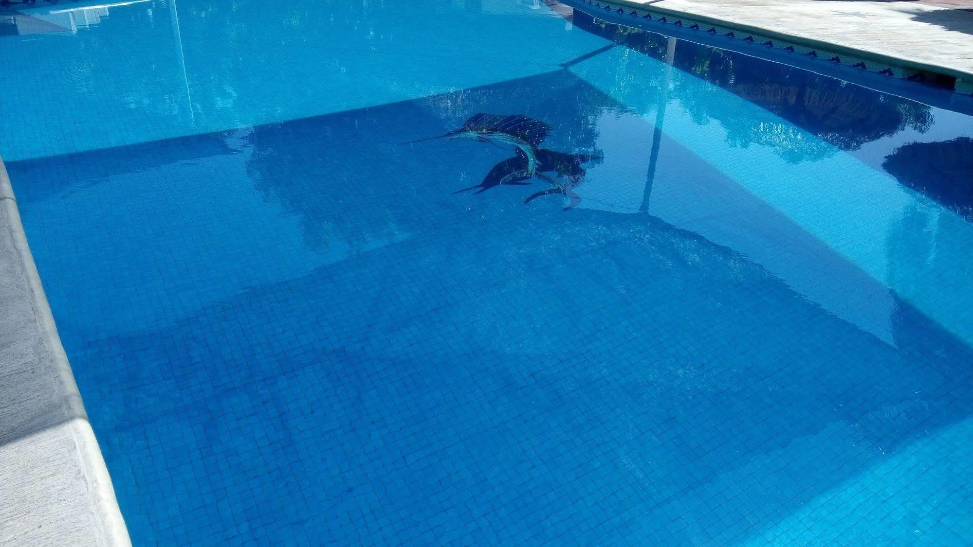 Y Club Campestre Altos Paraiso Hotel