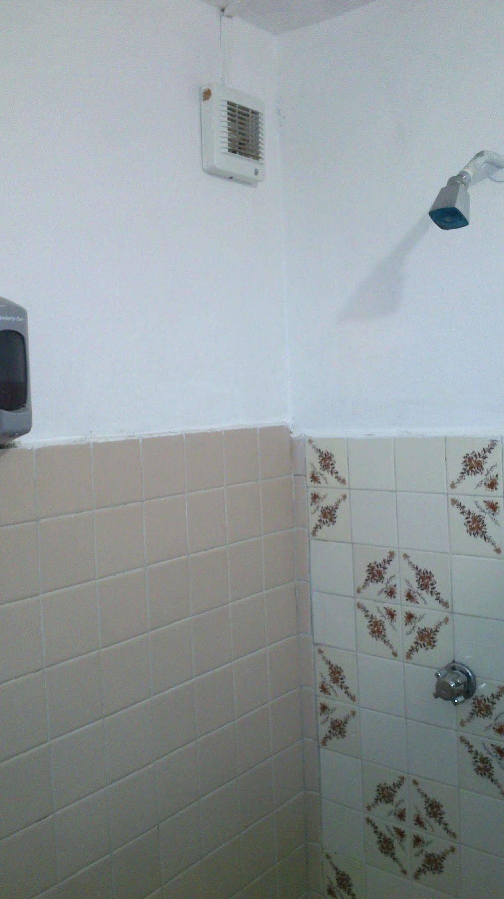Hostel Amigos Cozumel