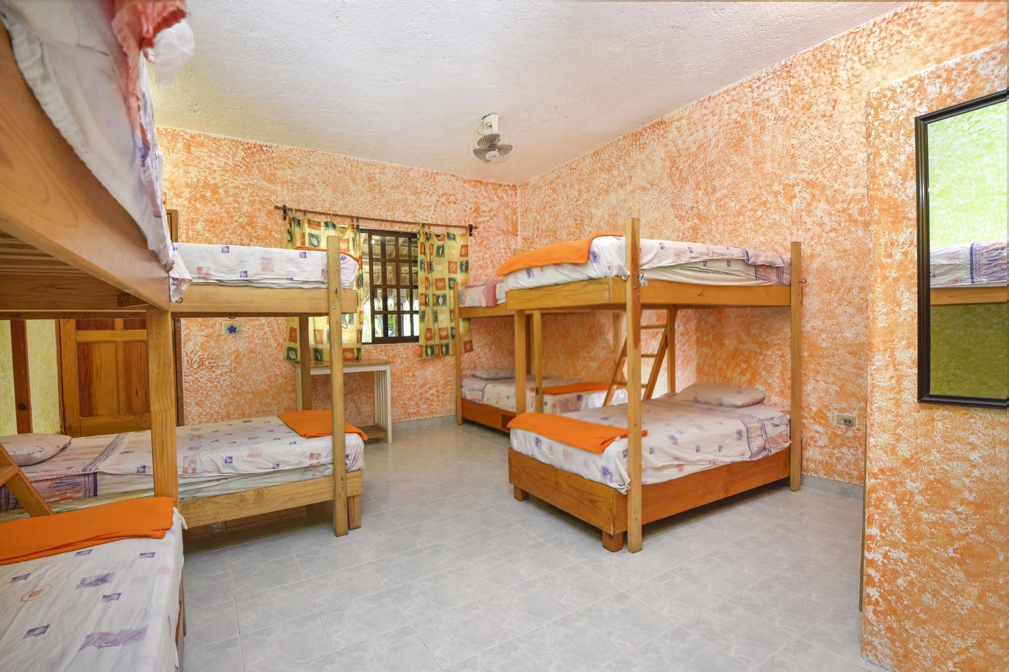 Amigos Hostel Cozumel